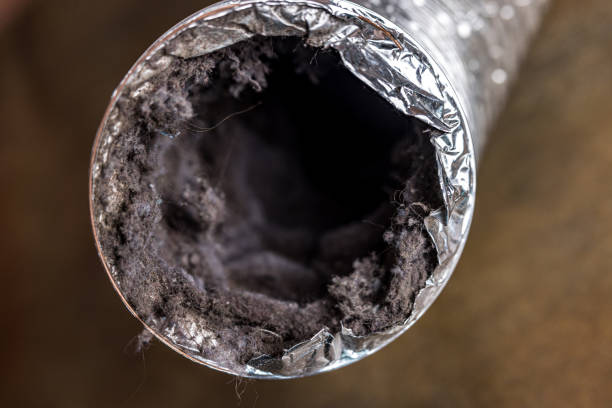 Best Air Vent Cleaning Services  in Hertford, NC